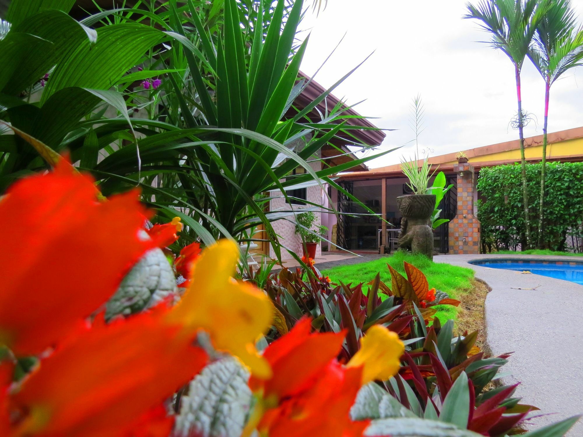 Hotel Vagabondo La Fortuna 外观 照片